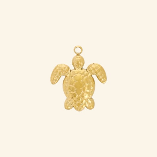 Grigri tortue