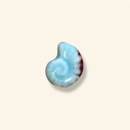 Perle coquillage