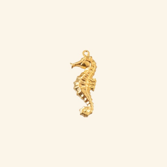 Grigri hippocampe